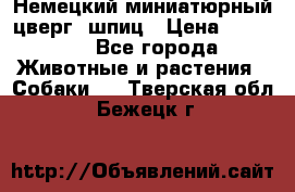 Немецкий миниатюрный(цверг) шпиц › Цена ­ 50 000 - Все города Животные и растения » Собаки   . Тверская обл.,Бежецк г.